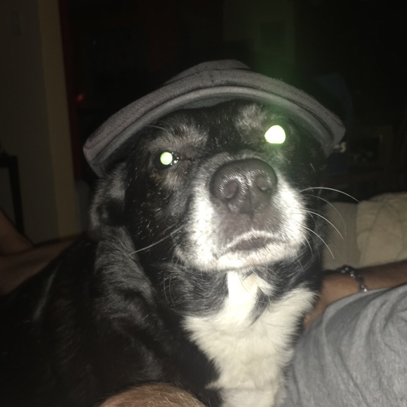 Meet your Posher, Tammy!!! - Picture 4 of 5